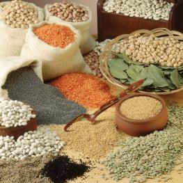 AKAR ARAÇ KİR. ÇİÇ. GIDA HAYV. ZİRAİ ÜRÜN. TİC. SAN. LTD. ŞTİ.